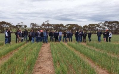 Livestock Technology Group and Spring Crop Walk