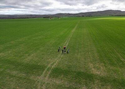 Demonstrating soil zone mapping